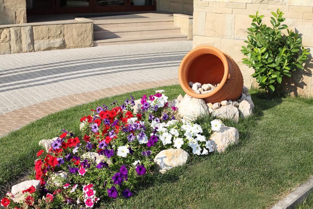 Hotel Danubia Park Veliko Gradište Dış mekan fotoğraf