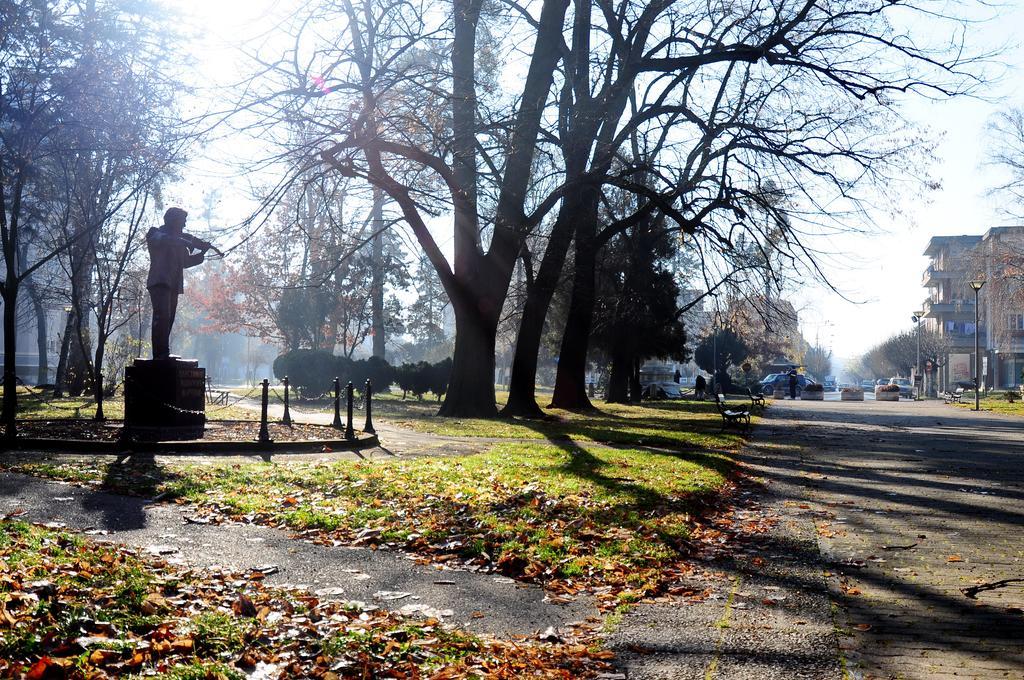 Hotel Danubia Park Veliko Gradište Dış mekan fotoğraf